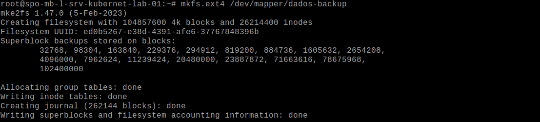 Formatando volume backup